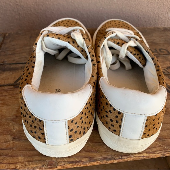 Madewell Sidewalk Spot Dot Low Top Sneakers - Picture 6 of 13